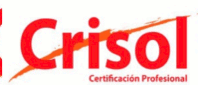 Crisol Certificacion Profesional - Trabajo